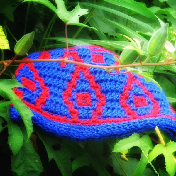 Golden Winter Cap Golden Winter Cap