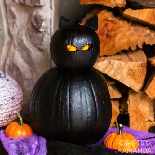 Black Cat Pumpkins Black Cat Pumpkins