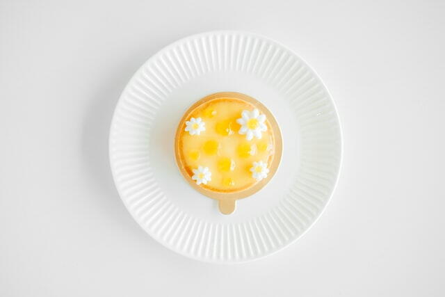 Creamy Mango Panna Cotta Recipe Creamy Mango Panna Cotta Recipe