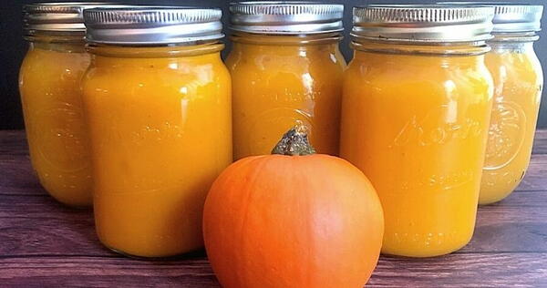 Instant Pot Pumpkin Puree Instant Pot Pumpkin Puree
