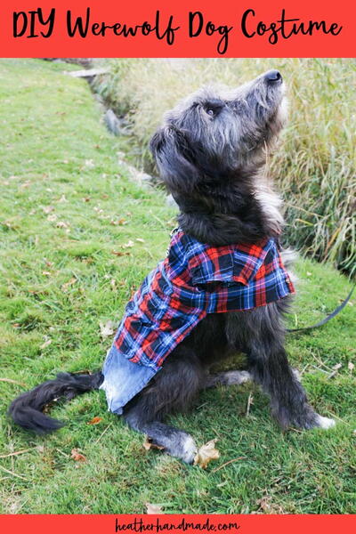 Diy Werewolf Costume Diy Werewolf Costume