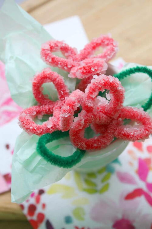 Borax Crystal Flowers Borax Crystal Flowers