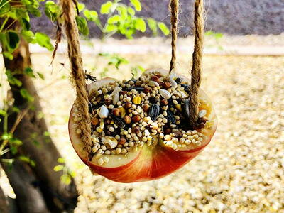 Easy Apple Bird Feeder