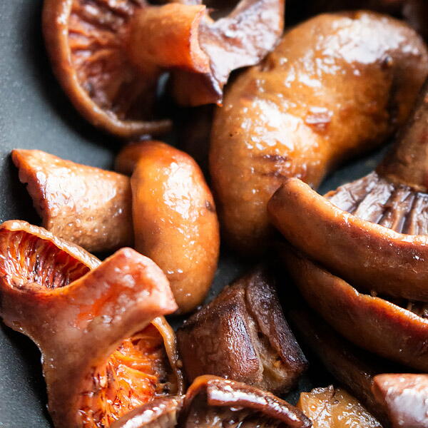 Sauteed Saffron Milk Cap Sauteed Saffron Milk Cap