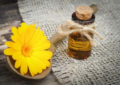 How To Make Hydrosol From Fresh Or Dried Herbs How To Make Hydrosol From Fresh Or Dried Herbs