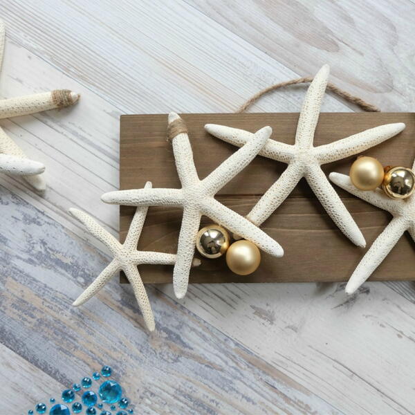 2 Step Diy Coastal Christmas Starfish 2 Step Diy Coastal Christmas Starfish