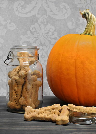 Pumpkin Peanut Butter Dog Treats Pumpkin Peanut Butter Dog Treats