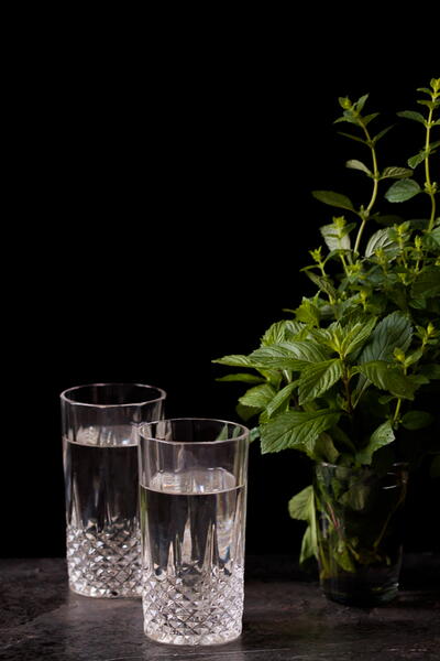 Mint Cordial Mint Cordial