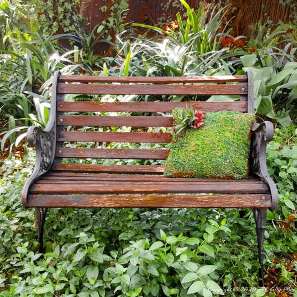 Easy Moss Pillow Planter Easy Moss Pillow Planter