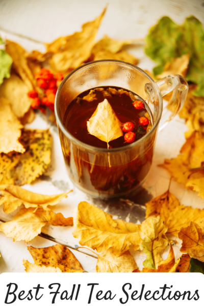 Best Fall Teas For The Season Best Fall Teas For The Season
