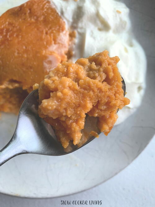 Slow Cooker Pumpkin Pudding Slow Cooker Pumpkin Pudding
