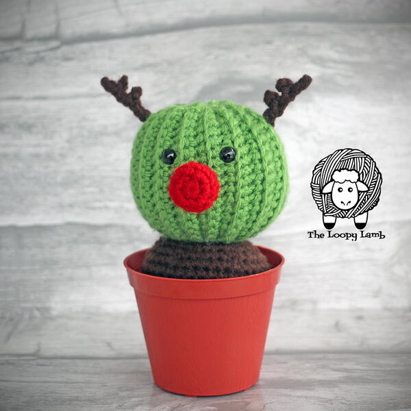 Randy The Reindeer Cactus Randy The Reindeer Cactus