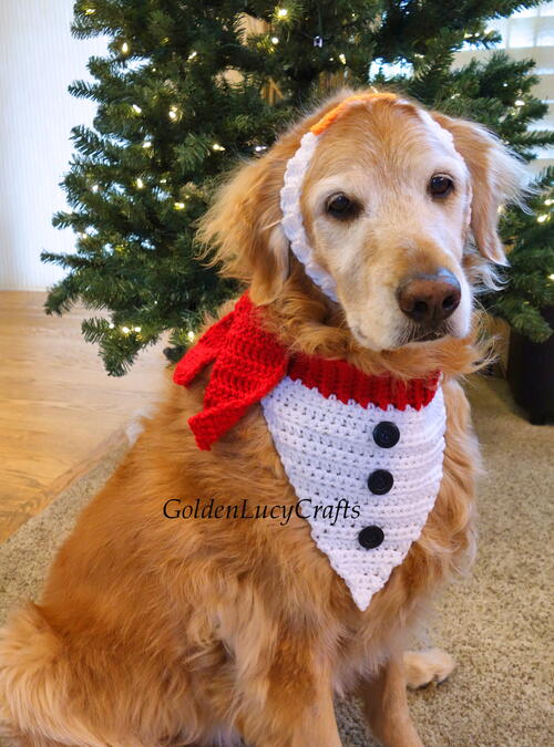 Snowman Christmas Dog Bandana And Headband Snowman Christmas Dog Bandana And Headband