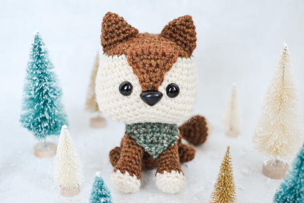 Finley The Fox Finley The Fox