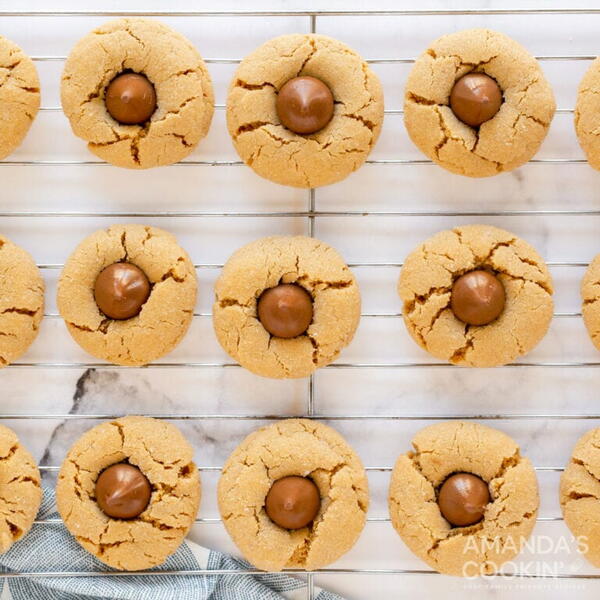 Peanut Butter Blossoms Peanut Butter Blossoms