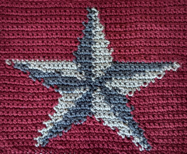 Star Dishcloth Star Dishcloth