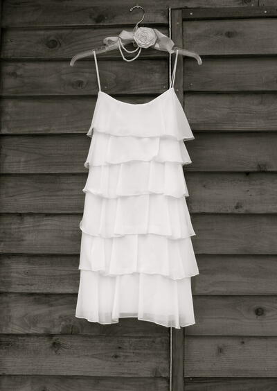 The New Womans Flapper Dress The New Womans Flapper Dress