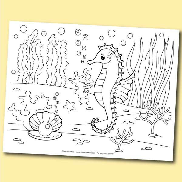 Seahorse Coloring Page Seahorse Coloring Page