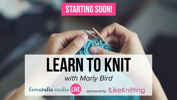 Learn to Knit with Marly Bird