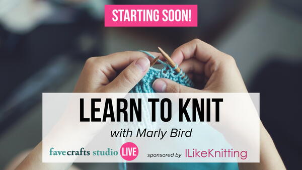 Learn to Knit with Marly Bird Learn to Knit with Marly Bird