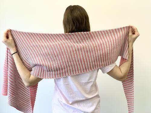Seeing Stripes Shawl Seeing Stripes Shawl