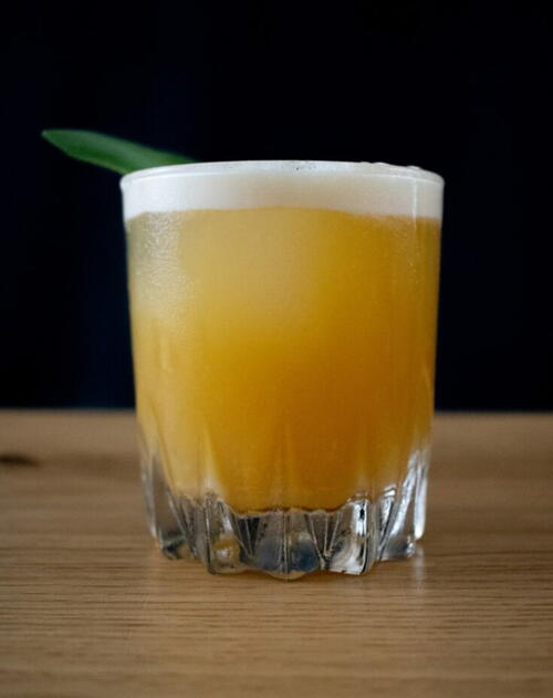 The Cactus Bite Cocktail The Cactus Bite Cocktail