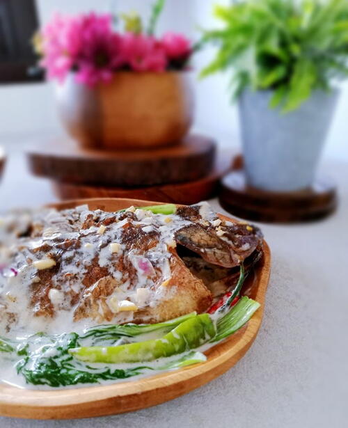 Cichlid Fish With Coconut Milk tilapia Cichlid Fish With Coconut Milk tilapia