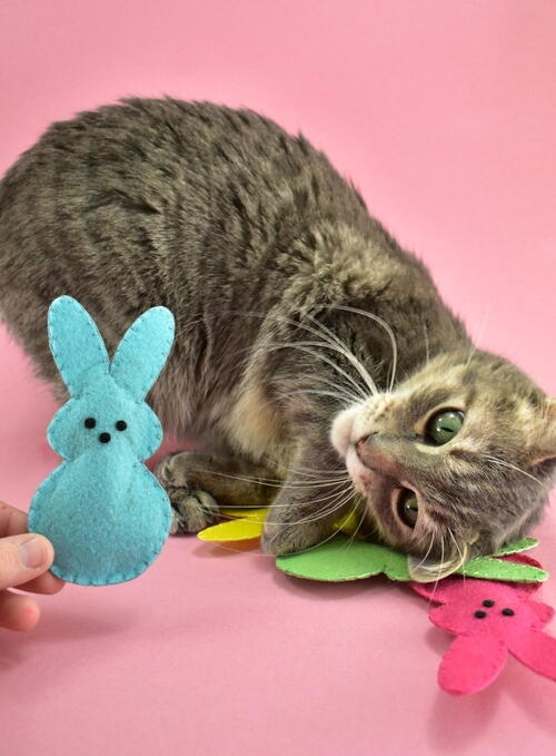 Easter Bunny Peeps DIY Catnip Toys Easter Bunny Peeps DIY Catnip Toys