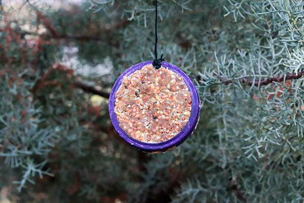 Mason Jar Lid Bird Feeder Mason Jar Lid Bird Feeder