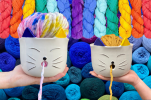 Darn Good Yarn Cat Yarn Bowl & Yarn Bundle Giveaway