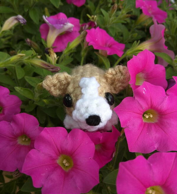 Crochet Corgi Plush Crochet Corgi Plush