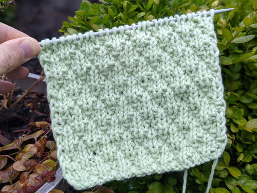 Daylily Stitch Daylily Stitch