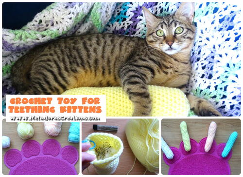 Cat Toy For Teething Kittens Cat Toy For Teething Kittens
