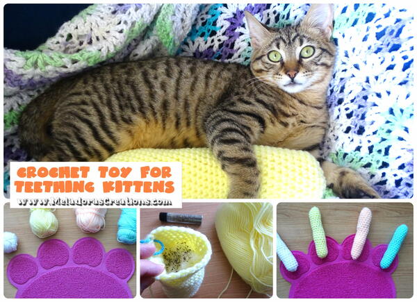 Cat Toy For Teething Kittens Cat Toy For Teething Kittens