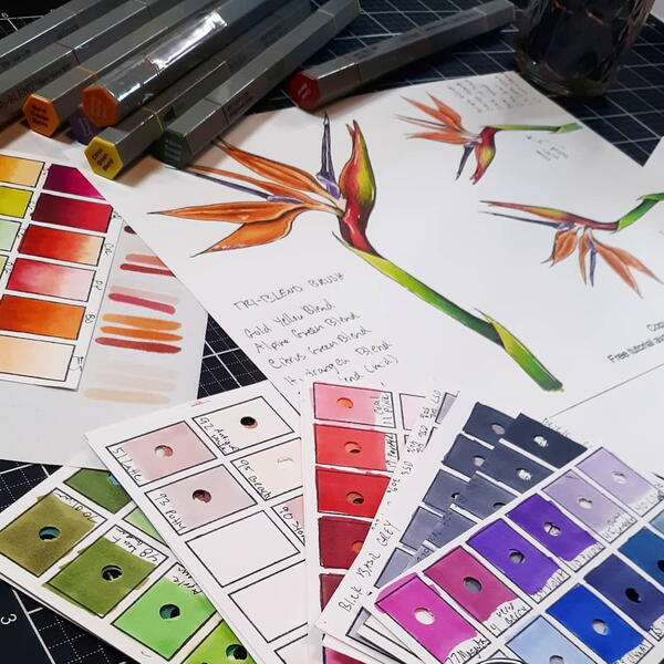 Gorgeous Birds of Paradise Coloring Tutorial Gorgeous Birds of Paradise Coloring Tutorial