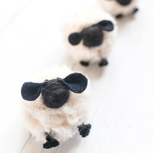 Pom Pom Sheep Pom Pom Sheep