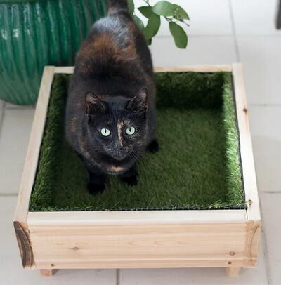 Cute Cat Grass DIY Pet Bed