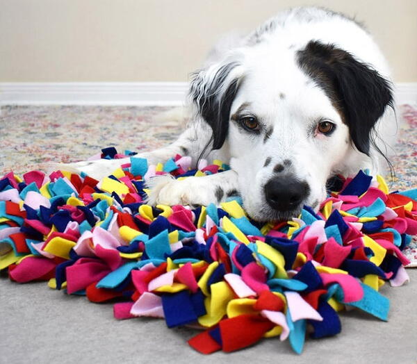 DIY Snuffle Mat for Dogs DIY Snuffle Mat for Dogs