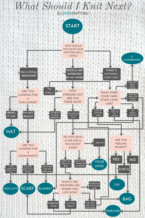 What Should I Knit Next? What Should I Knit Next?