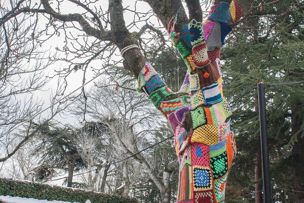 Crochet tree trunks.