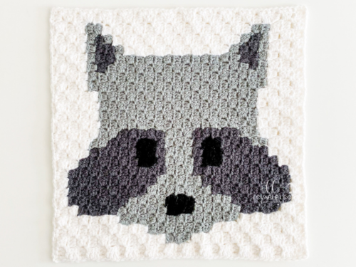 C2c Raccoon Square C2c Raccoon Square