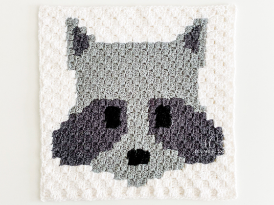 C2c Raccoon Square C2c Raccoon Square