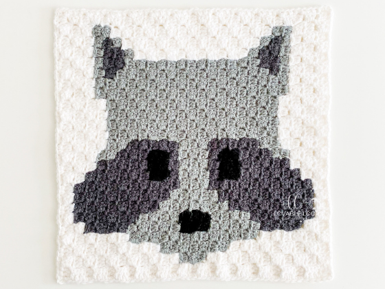 C2c Raccoon Square