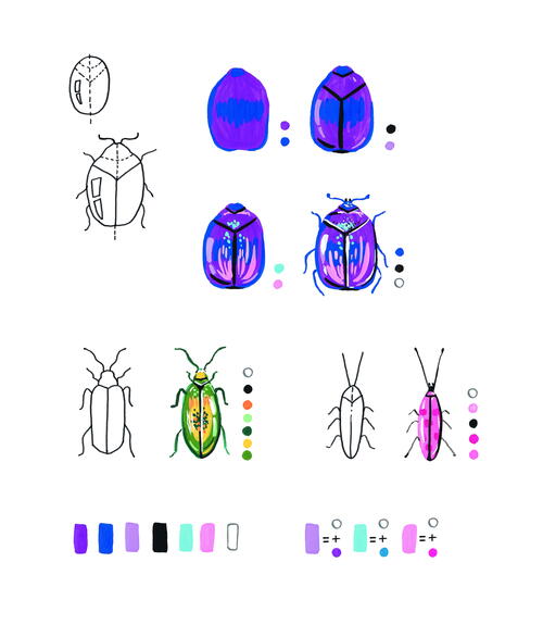 One Gorgeous Beetle One Gorgeous Beetle