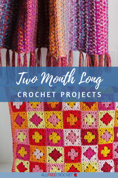 29 Two Month Long Crochet Projects