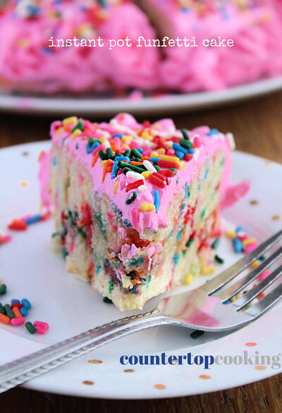 Pressure Cooker Funfetti Cake Pressure Cooker Funfetti Cake