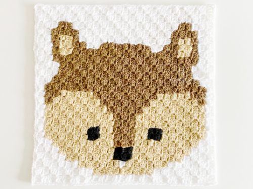 C2c Squirrel C2c Squirrel