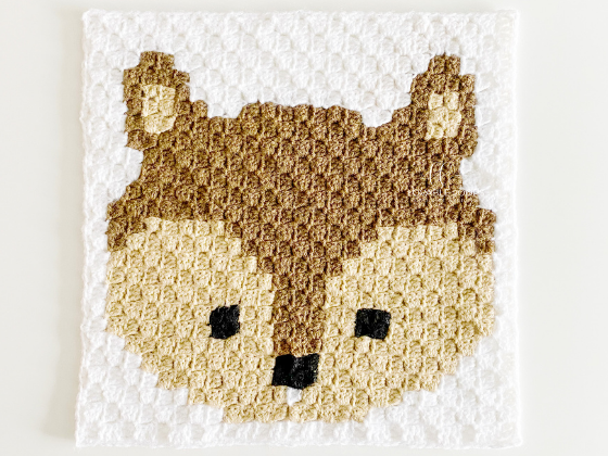 C2c Squirrel