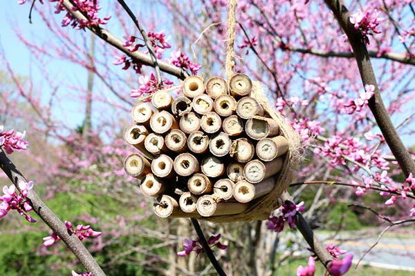 How To Make A Diy Bee House For Mason Bees How To Make A Diy Bee House For Mason Bees