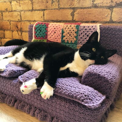 Free Crochet Cat Couch Pattern